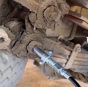 10000PSI หัวอัดจารบีแรงดันสูง กับ30cmสายยาง เครื่องอัดจารบี จารบี หัวอัดจารบี หัวอัดแบบล็อก หัวอัดจารบีชนิดแรงดัน สูง แบบยึดล็อค