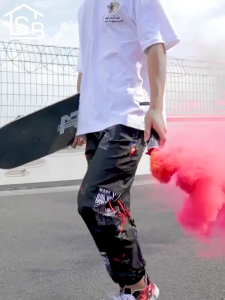 Skateboard 31 Inch Complete Skateboards for Adult and Youths 9 Layers Skateboard Long Skate Board