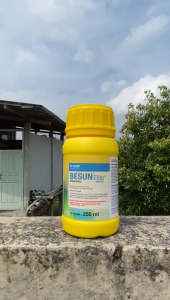fungisida besun elite 300 sc 250 ml bakterisida pembasmi jamur dan kresek //BASF