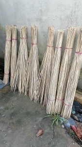 Cần Câu Cắm ( CHƯA TÓM TRE GIÀ ) Dài 1m1  Combo 20 cây 50 Cây 100 Cây.