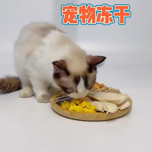 Freeze Dried Chicken Cube/ Booster Cat Dog Treats Snack 500G