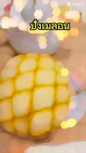 เมลอนปังปลอม โมเดลเมลอนปัง โมเดลปังเมลอน โมเดลขนมปัง โมเดลเบเกอรี่