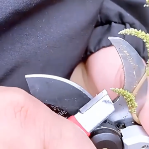 Bộ 2 dụng cụ mài kéo cắt tải cành cây đa năng dao các loại