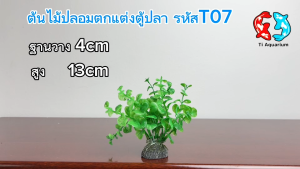 ต้นไม้ปลอมไว้สำหรับตกแต่งตู้ปลา ฐานวาง4cmสูง13cm  รหัสสินค้าT07