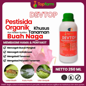 Obat Hama & Pestisida Buat Tanaman Buah Naga