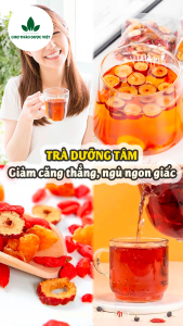 Trà dưỡng tâm hỗ trợ mất ngủ hiệu quả long nhãn kỳ tử táo đỏ an thần giảm stress - Chợ Thảo Dược Việt