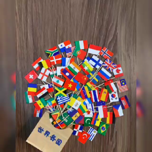 Assorted Different Countries Toothpick Flag FIFA World Cup Qatar 2026 Flag Food Pick Flag