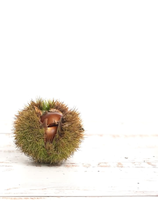 เกาลัดญี่ปุ่น หนึ่งกี่โล 板栗เกาลัด สินค้ามาใหม่ของฤดูกาล อร่อยและราคาไม่แพง