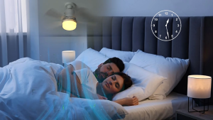 Ceilings fan with led light 30W/40w ceiling fan 5 blades big 16.5-inch heavy duty ceiling lights with fan and remote