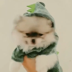 【Yuanzhs Pet】Dinosaur Costume For Dogs pets dino dog costume animal dog hoodie panda for maltese Safari costume for dog chihuahua clothes dog clothes for shih tzu dog jumpsuit for French Bulldog Dog onsie for chowchow baju kucing jantan 狗狗服装