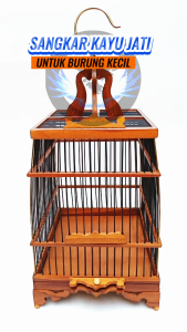 Sangkar cungkok pleci kolibri sogon finishing semprot plitur