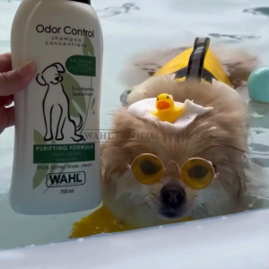 Wahl Pets Dog Odor Control Shampoo 700ml – Sampo Anjing Sampo Anjing Anti Bau Penghilang Bau Anjing Sampo Kucing