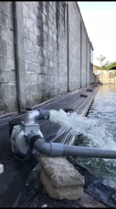 SUMURA Body Pompa Air Alkon Waterpump 2\" SNB50 SNB80 MUSTANG / Bodi Water Pump 2 Inch Pompa Air Sawah SNB 50 MUSTANG