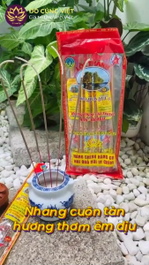 Nhang cuộn tàn 2 Quả Núi túi 10 tuýp nhang trầm nhỏ - Đồ Cúng Việt