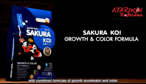 Sakura Fish Food - Growth and Color - 15KG (Floating)