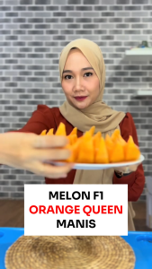 Benih Melon F1 ORANGE QUEEN 8 BIJI Known You Seed