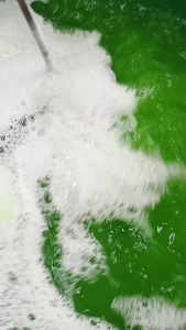 น้ำยาถูพื้นมะกรูดหอม ไล่มดและแมลง ขนาด 1 ลิตร