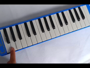 Pianika 32 Key Lengkap PARDLIFFT / Alat Musik Tiup / Pianica