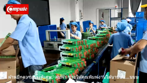 (แพ็ค11) Ribbon LQ310 ผ้าหมึก Compute สำหรับ EPSON LQ-310 / LQ310ii พร้อมใช้งานไม่ยุ่งยาก โปร10แถม1 (ยาว14เมตร)