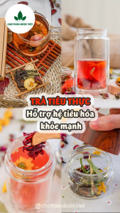 5-10 Set trà tiêu thực mix sẵn (Nhuận tràng thải độc hỗ trợ tiêu hóa ) - Chợ Thảo Dược Việt
