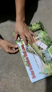 Garansi 10 tahun Lampu Jalan tenaga surya LED Solar Light Waterproof Lampu Tenaga Matahari