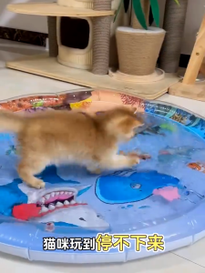 สัตว์เลี้ยงเสื่อน้ำ เตียงแมว 100cm ที่นอนเย็น เบาะน้ำพองลม 3 มิติ พร้อมปูปลาดุ้กดิ้กในน้ำ ของเล่นแมว หนาขึ้น