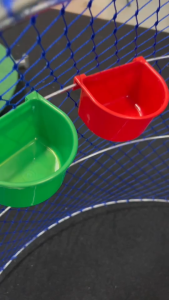 ตั้งค่าถ้วยเกาะสูงประมาณ 12 ชิ้น ขนาดเล็ก พลาสติกแข็ง เป็นเทียบกับถ้วยอาหารไก่ ถ้วยใส่น้ำไก่ ถ้วยใส่น้ำไก่และถ้วยใส่น้ำแขวนสูงประมาณ 12 ชิ้น