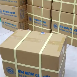 Nệm nước mát Ngọc Thảo cao cấp MS 2808