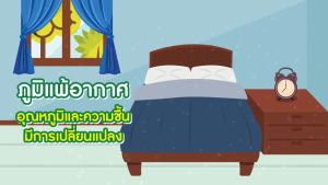 Kangaroo Brand แคงการู แบรนด์ สเปรย์ยูคาลิปตัส ตราจิงโจ้ ขนาด 300 ml [6 กระป๋อง] AA 2330