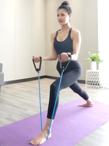 5 Levels Resistance Bands with Handles Pull Rope Fitness Elastic Strength Equipment Yoga Pull Rope