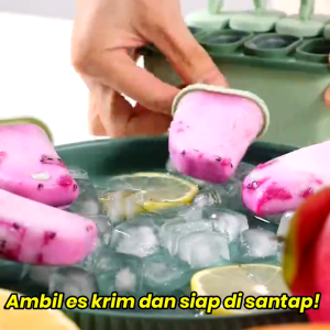 Cetakan Es Loli Ice Cream & Cetakan Es Batu Dengan Tutup