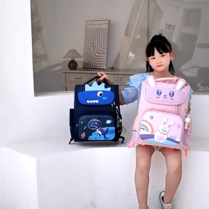 Portable Schoolbags for Kids: A Comprehensive Guide