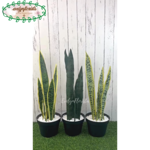 POHON HIAS IMITASI LIDAH MERTUA LATEX VARIASI WARNA POT DASAR HITAM HIASAN BALKON AESTHETIC