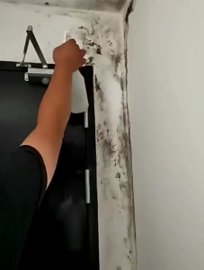 500ML Wall Mold Mildew Remover Spray Spot Cleaner Anti-Mold Removal Cleaner Mold Pembersih Kulat Kotoran Dinding 墙体除霉剂