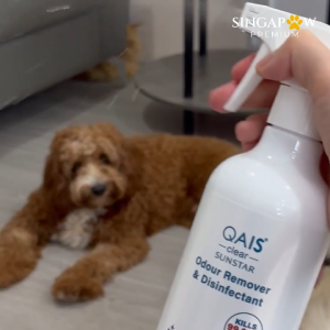 Singapaw Sunstar QAIS Clear Odour Remover Disinfectant Spray Natural and Safe for Pets Children Alcohol Free Non Toxic