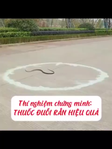 [Hiệu Quả 100%] Bột Đuổi Rắn Nhật Bản 25kg Xua Đuổi Rắn Bảo Vệ Con Người - Hiệu Quả 100%