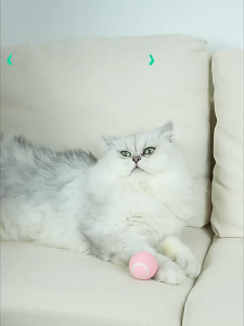 WaggyWaggy Cat Teaser Ball Interactive Toy USB Rechargeable 360 Degree Self Rotating 宠物玩具逗猫球 T0010