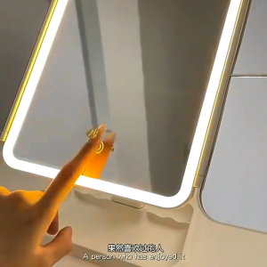 Shell Double Door Led Makeup Mirror With Light Storage Box Lntegrated Desktop Foldable Adjustable Student Holiday Gifts/Makeup Set