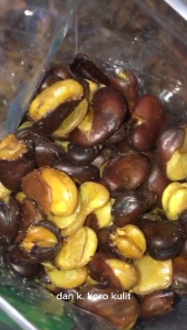 KACANG KORO KULIT  230GR 500GR DAN BAL ISI 4 KG / GURIH ASIN / MERK JAIPONG - ADAM SNACK