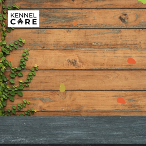 500ml Air Freshener: Quick & Effective Odor Control