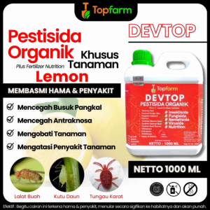 Obat Hama & Penggrek Batang Tanaman Lemon