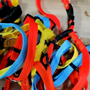 Bộ dây dắt Chó Mèo kèm vòng cổ khoá nhựa bằng chất liệu vải nylon (Mẫu mới) - Love Pets Shop