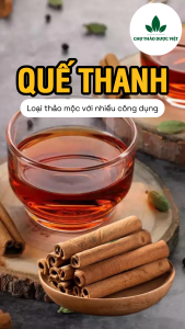 Quế cạo vỏ 500g quế thanh đẹp 8cm pha trà nấu ăn decor trang trí trà quế sạch thơm cay