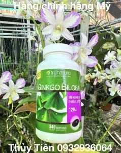 Viên uống bổ não Ginkgo Biloba 120mg 340 viên