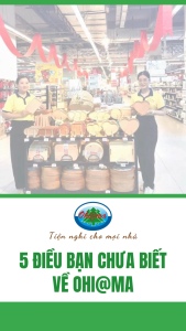 Bàn Để Ủi Đồ Ngồi Gấp Gọn Ohiama Mini Ironing Board HMN-250 Cầu Là Quần Áo Chân Thấp Màu Ngẫu Nhiên