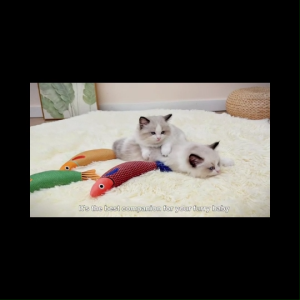 Durable Cat Toy Catnip 3D Simulation Fish Goldfish Kitten Toys Pillowfish Interactive Sounding Cat Chew Bite Plush Toys local  Supplies