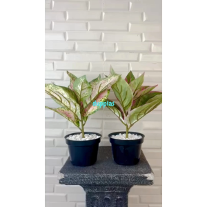 Tanaman Artificial Pohon Plastik Aglonema Hijau & Pink: Dekorasi Meja Aesthetic
