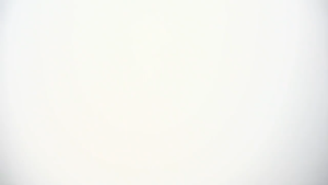 DNV - Spons Cuci Piring Silicon / Spon Silicon Pembersih Serbaguna Anti Kuman / Spons Silicon Bulat