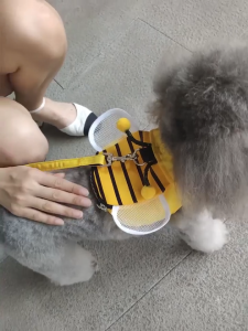 Cat Hauling Cable Strap Traction Rope Outing Cat Walking Chain Dog Chest Harness