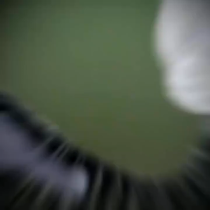 BEIKOTT 3D/5D/10D/Zodiac Series ขนตาปลอม ขนตาปลอมธรรมชาติ ขนตา ขนมิงค์ แบบธรรมชาติ 3คู่/5คู่ Eyelashes ผู้ขายชาวไทย พร้อมสต็อก